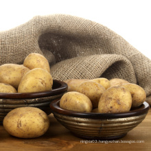 New fresh potato seeds for wholesale